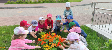 Тематический "День природы" Тематический "День природы".